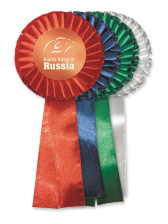 Розетка наградная из лент - PS852