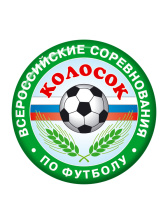 Вкладыш с изображением по эскизу заказчика - VK11/ VK12/ VK21/ VK22/ VK101/ VK102