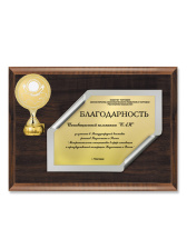 Плакетка наградная - PL445